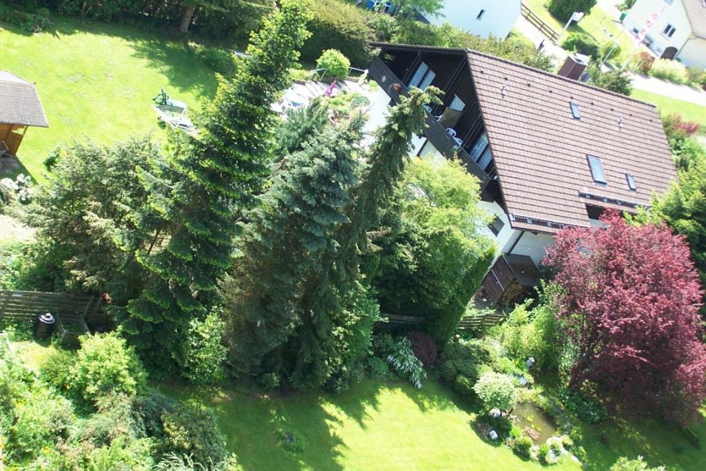 Hotel Gruenes Paradies- Garni Hochwaldhausen Esterno foto